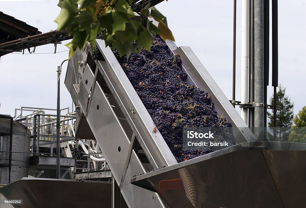 Wein, in Bearbeitung - Lizenzfrei Agrarbetrieb Stock-Foto