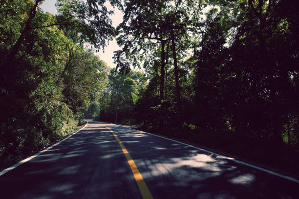 istock Country Road on the Mountain 964023852