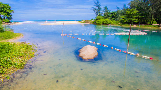 istock big wave in Naiharn beach. good for surfing 964028750