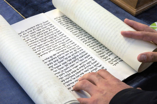 Jewish Rabbi reads The Megillah Scroll (Book of Esther) Jewish Rabbi reads The Megillah Scroll (Book of Esther) on Purim Jewish holiday. esther bible stock pictures, royalty-free photos & images