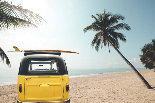auto met surf op het tropische strand - tropical surf stockfoto's en -beelden