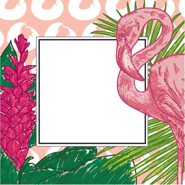 Vector illustration of Tropical Frame with copyspace