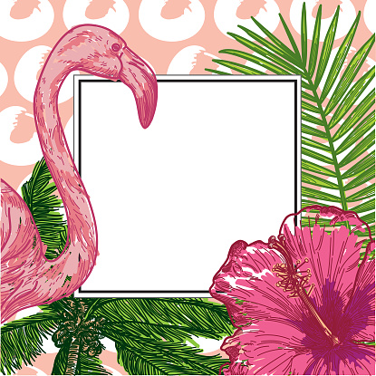 Tropical frame template with blank space for your copy! Great for promotions, email blasts, signage, whatever!