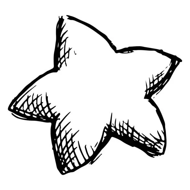 Vector illustration of Monochrome cartoon star sketched vector line art