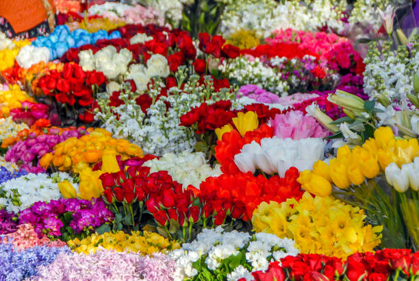 istock Flowers in Flower Shop 964062176