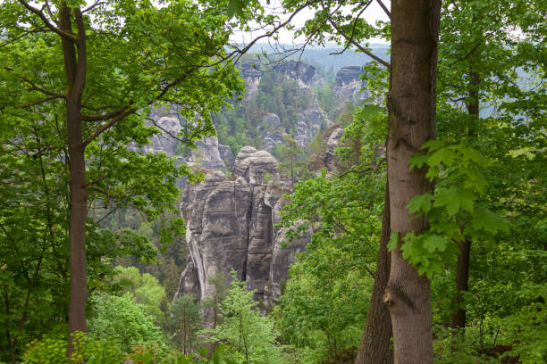 Saxon Switzerland National Park. Germany stock photo