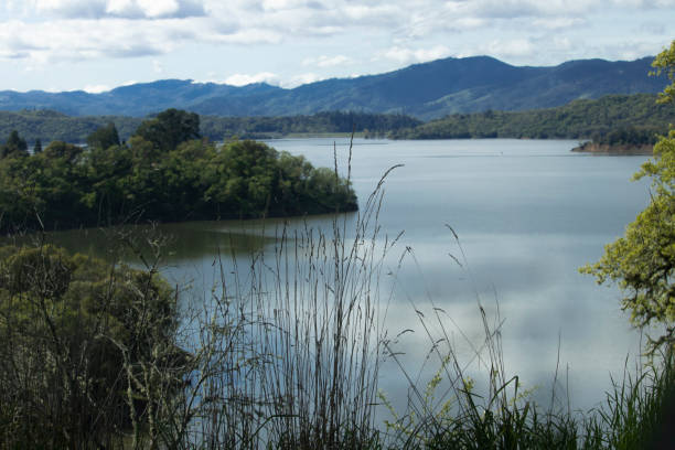 istock The Lagoon at the Coast 964076872