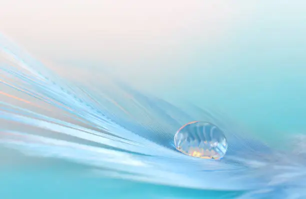 Photo of Beautiful background with water drop