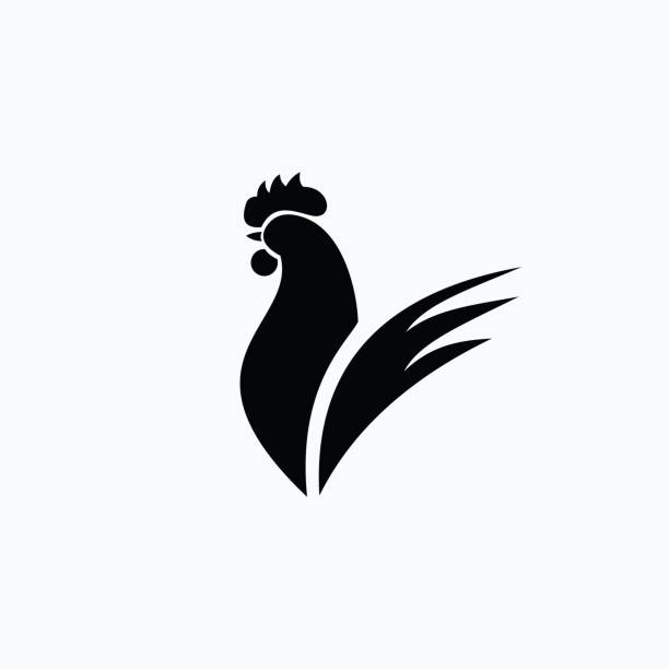 hahn-logo-vektor-template-design - chicken poultry cartoon cockerel stock-grafiken, -clipart, -cartoons und -symbole
