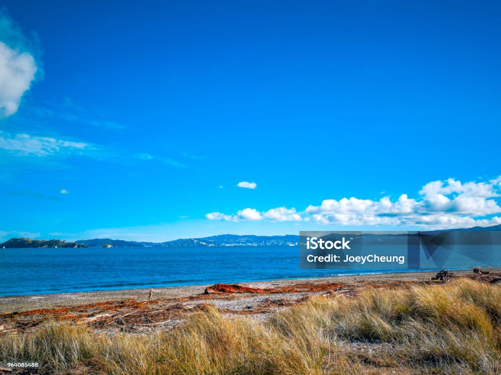 beach with blue cloud sky, wellington, New Zealand landscape Bay of Water Stock Photo