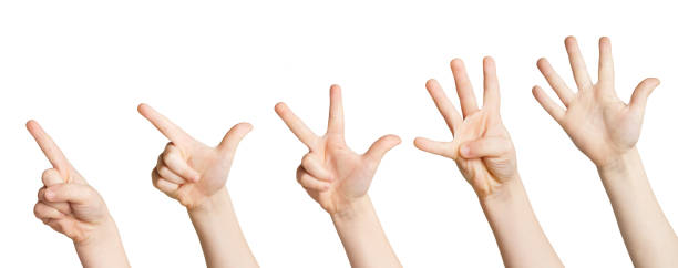 istock Set of white child hands showing figures, counting 964090758