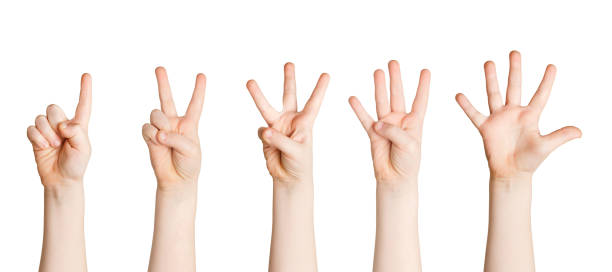 istock Set of child hands showing figures, counting 964090764
