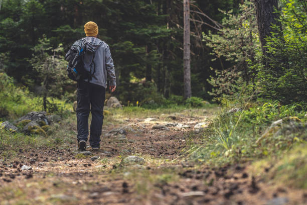 istock Backpacker walks by trail in the woods 964091960