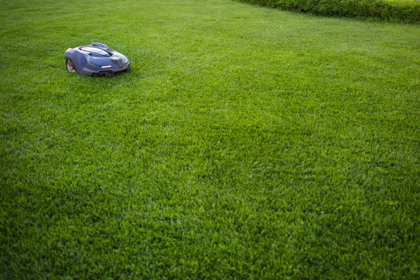 istock automatic lawn mower robot moves on the grass, lawn. side view from above, copy space 964095710