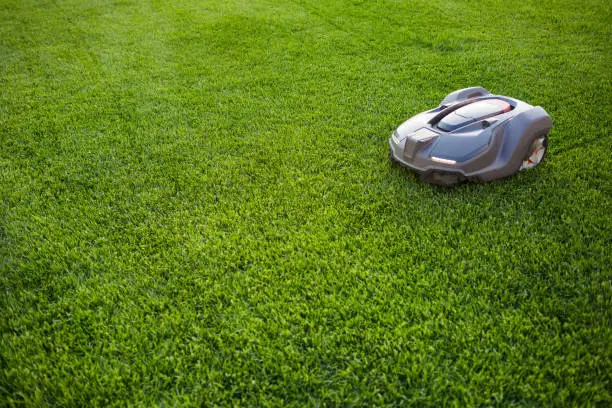 Photo of automatic lawn mower robot moves on the grass, lawn. side view from above, copy space