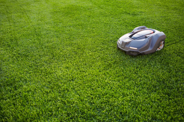 automatyczny robot kosiarki porusza się po trawie, trawniku. widok z boku z góry, skopiuj spację - kosiarka zdjęcia i obrazy z banku zdjęć