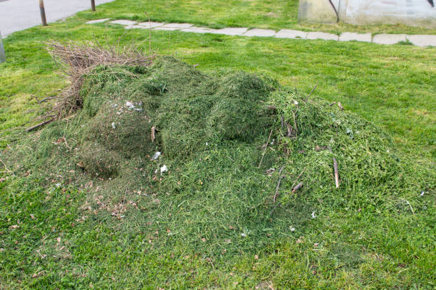 istock Big Pile of freshly cut green grass in park 964099452
