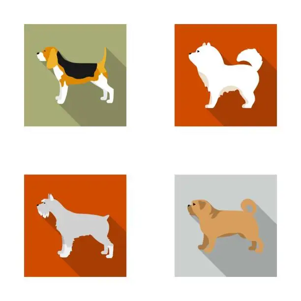 Vector illustration of Chau chau, levawa, schnauzer, pug.Dog breeds set collection icons in flat style vector symbol stock illustration web.