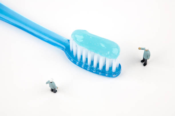 two miniature dentists inspecting toothbrush.