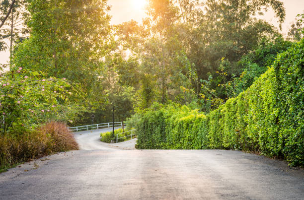 istock Winding country asphalt pathway with sunrise or sunset. 964122550
