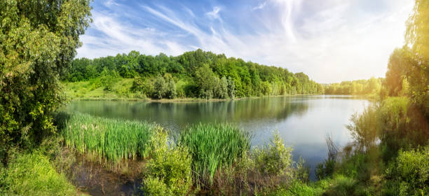 istock Bend of the river with green trees on the shore under the bright sun 964123166