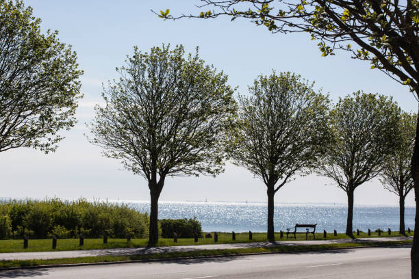 istock Aarhus Bay - View from Strandvejen 964126024
