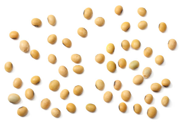 istock Soybeans isolated on white background. top view 964126026