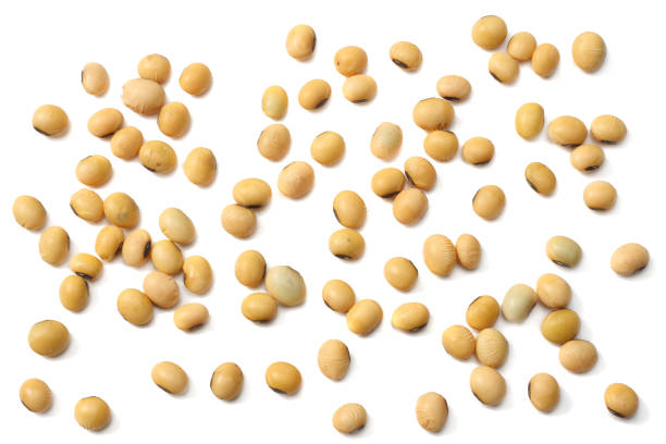istock Soybeans isolated on white background. top view 964126028