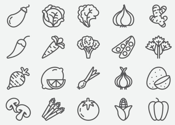 ilustraciones, imágenes clip art, dibujos animados e iconos de stock de iconos de línea de verduras - icono de línea ilustraciones
