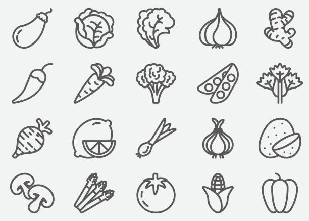 иконки линии овощей - fruits and vegetables illustrations stock illustrations