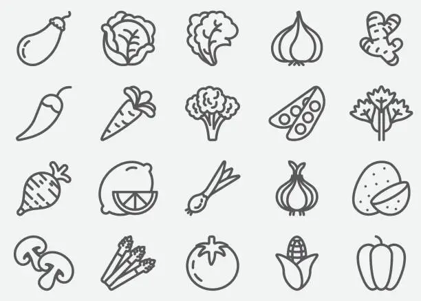 Vector illustration of Vegetables Line Icons