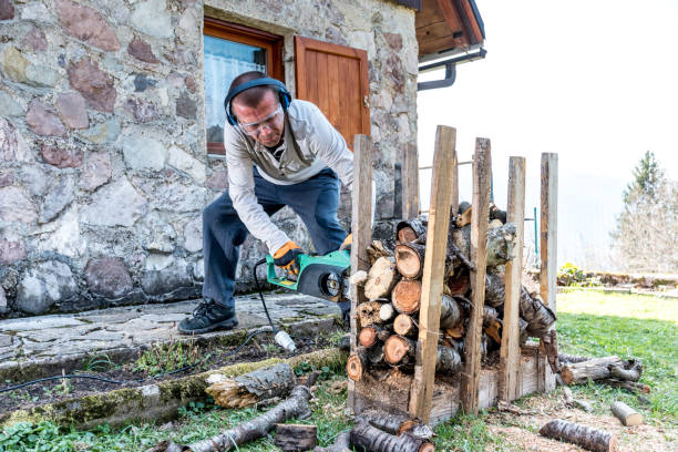 istock Man In The Garden Cutting Logs With Chainsaw 964139876