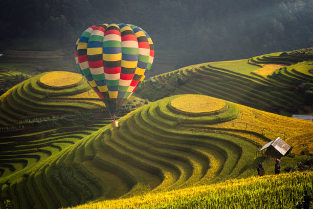Hot air balloon over rice field in Mu cang chai Hot air balloon over rice field in Mu cang chai, Vietnam thailand rice field stock pictures, royalty-free photos & images