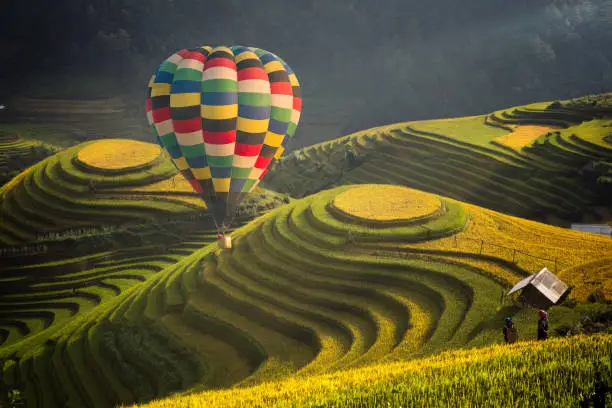 Hot air balloon over rice field in Mu cang chai, Vietnam