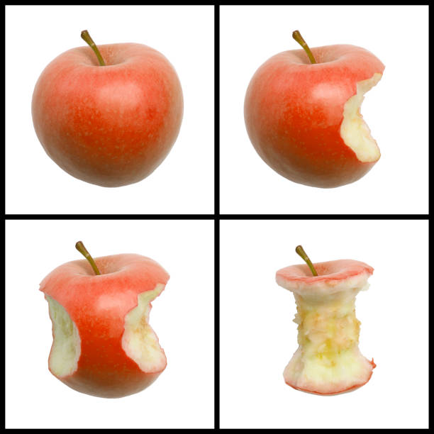 FOUR PICTURE SEQUENCE OF BITES IN RED APPLE ON WHITE BACKGROUND