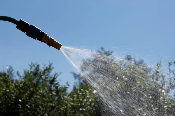 istock WATER SPRAYING FROM GARDEN HOSE PIPE 964163302