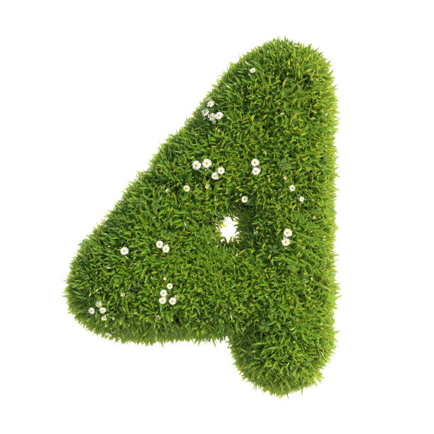 50+ Fotos, Bilder und lizenzfreie Bilder zu Grass Number Number 4 Three