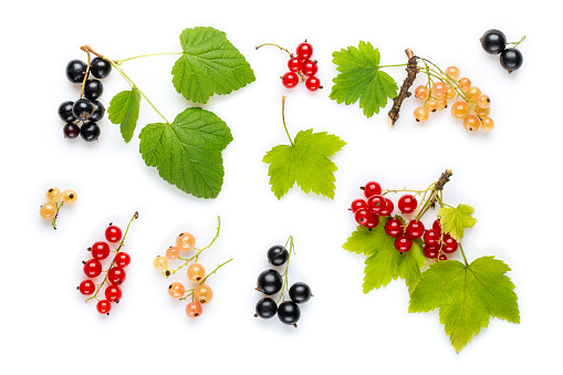 Fresh red currant, black currant and white currant berries with leaves on white. Flat lay. Top view.