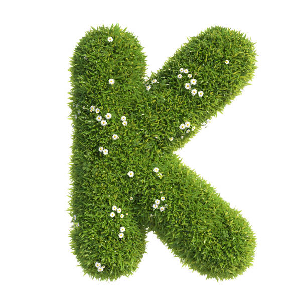 grass schriftart 3d rendering buchstabe k - letter k alphabet three dimensional shape green stock-fotos und bilder