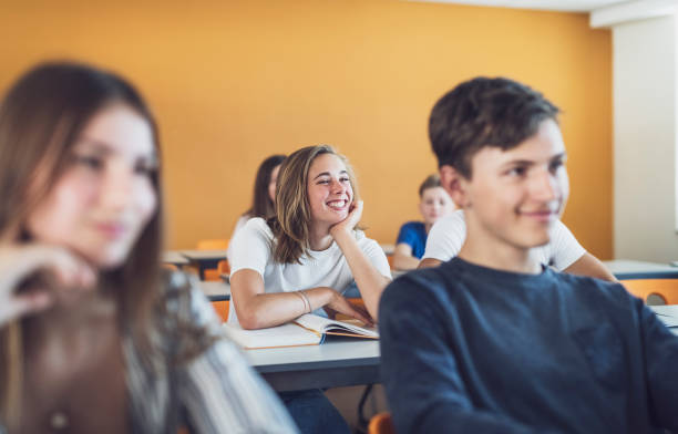 istock Teenage student smiling in classroom 964171458