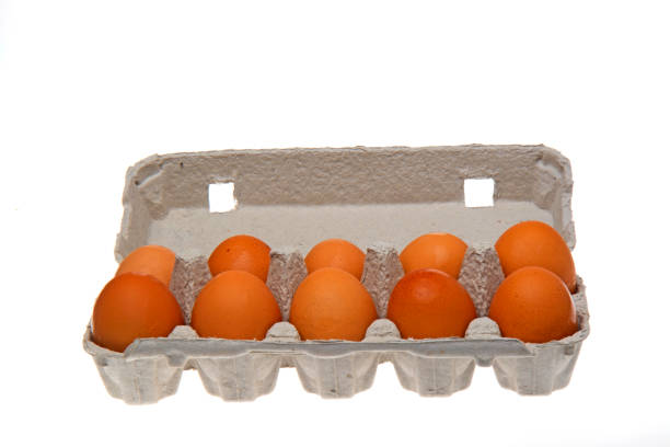 egg-box - chicken egg flash stock-fotos und bilder