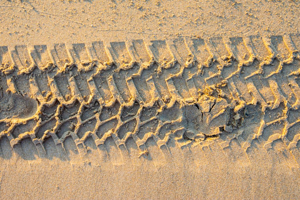istock Tire tracks on the sand background 964172874