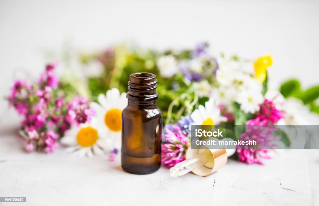 Frasco de óleo essencial com flores e plantas medicinais. Aromaterapia óleos essenciais - Foto de stock de Aromaterapia royalty-free