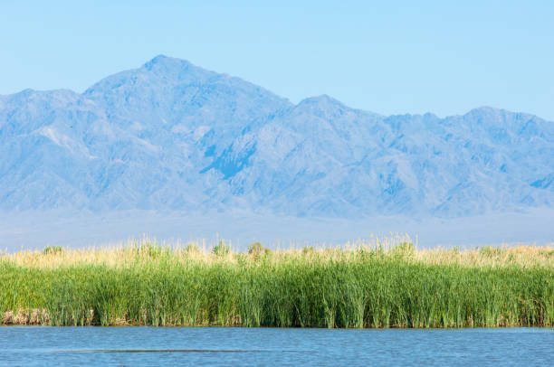 istock steppe summer. Turgai save. Lake in the desert 964181784
