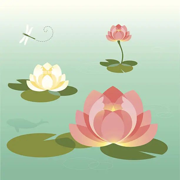 Vector illustration of Pink and White Lotus Pond In The Summer