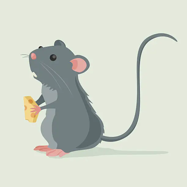 Vector illustration of Cute Rat holding a piece of cheese