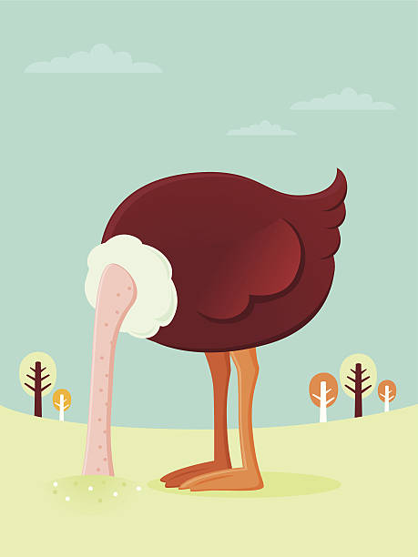 Ostrich burying his head in the sand  burying stock illustrations