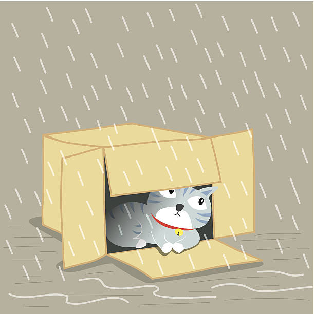 ilustraciones, imágenes clip art, dibujos animados e iconos de stock de perdido de cat - lost pet