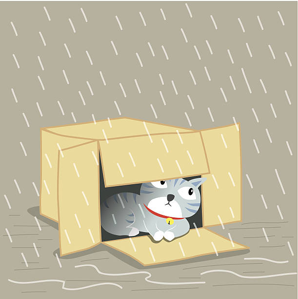 illustrations, cliparts, dessins animés et icônes de lost chat - lost pet