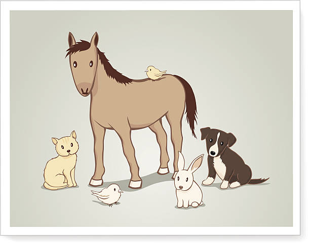 그룹 포토서제스트 - medium group of animals illustrations stock illustrations